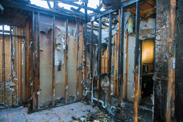 Professional Fire Damage Removal technician working in Paragould, AR
